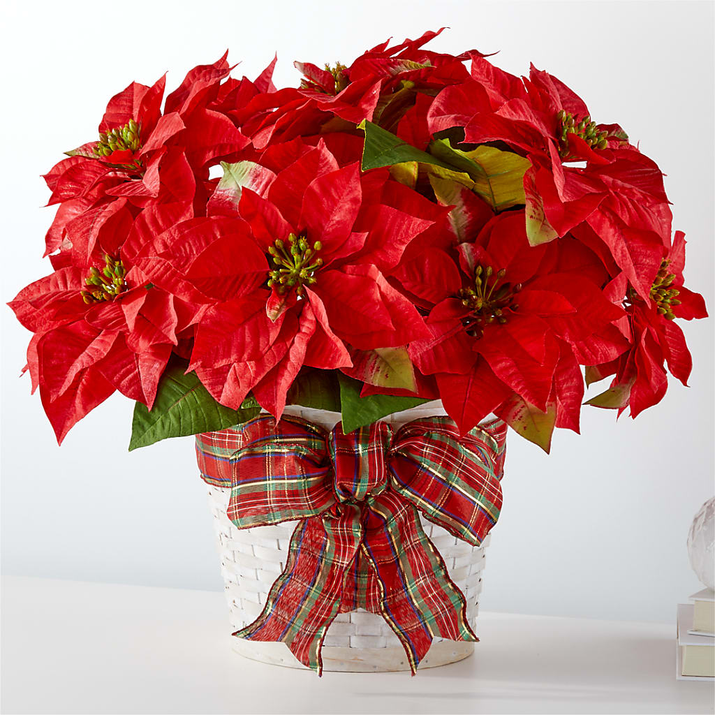 Happiest Holidays Poinsettia – Buds N Bows, North Little Rock AR
