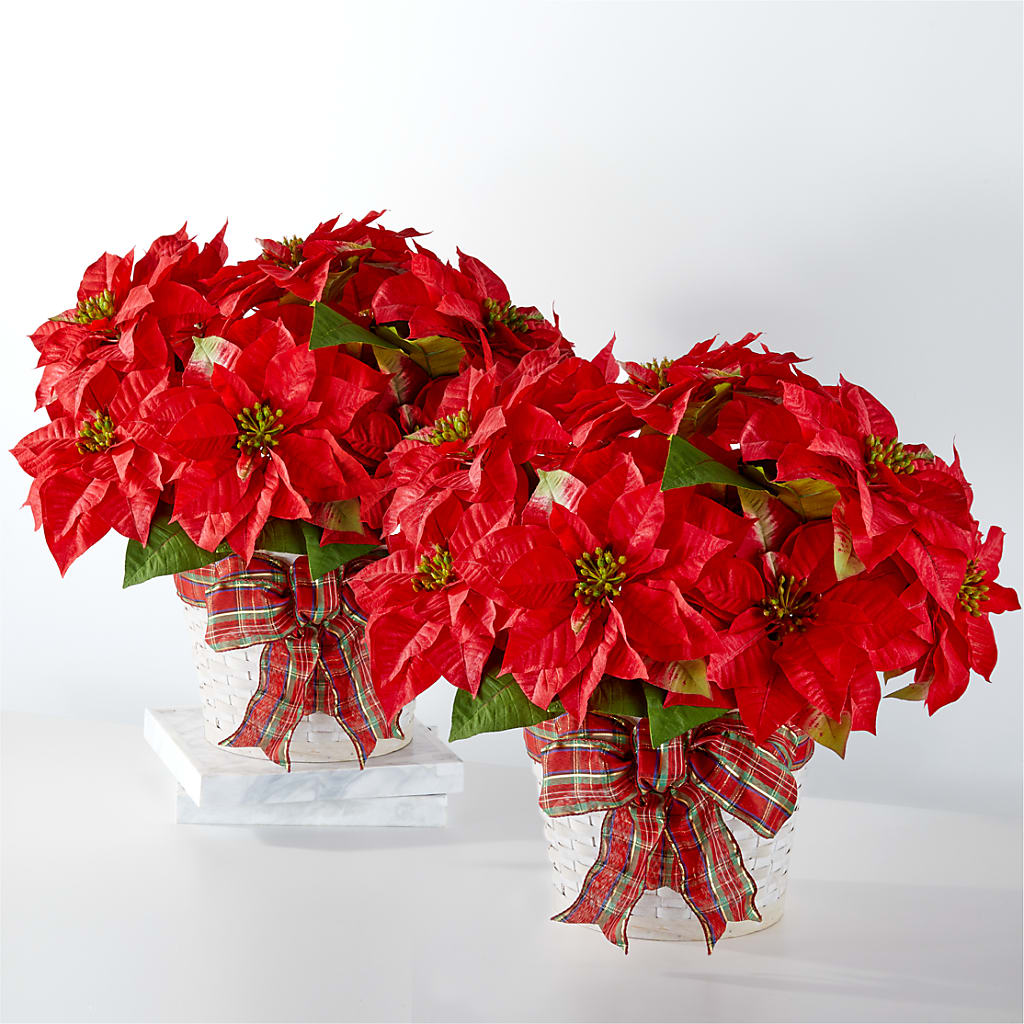 Happiest Holidays Poinsettia Bundle – Buds N Bows, North Little Rock AR