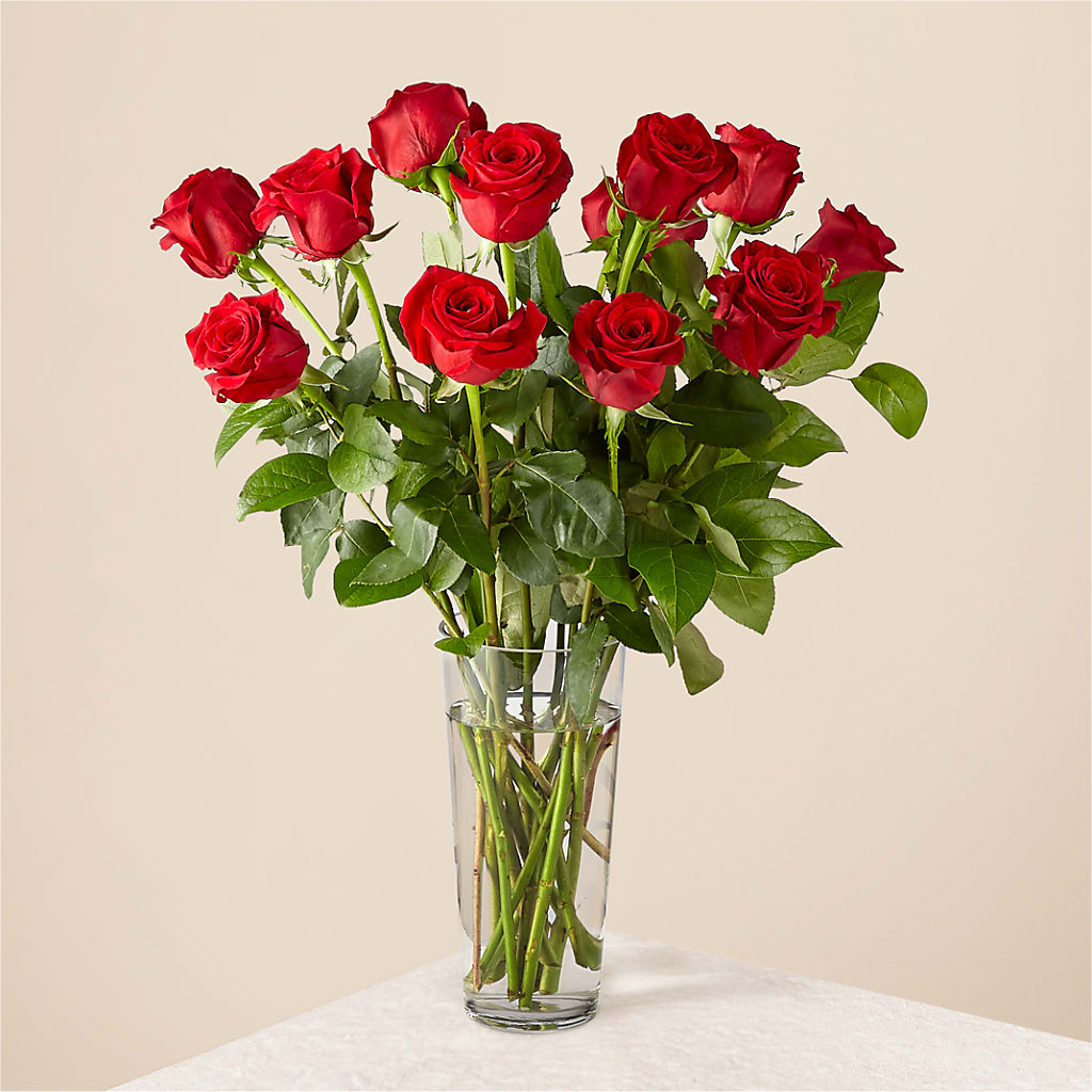 Long Stem Red Rose Bouquet – Buds N Bows, North Little Rock AR