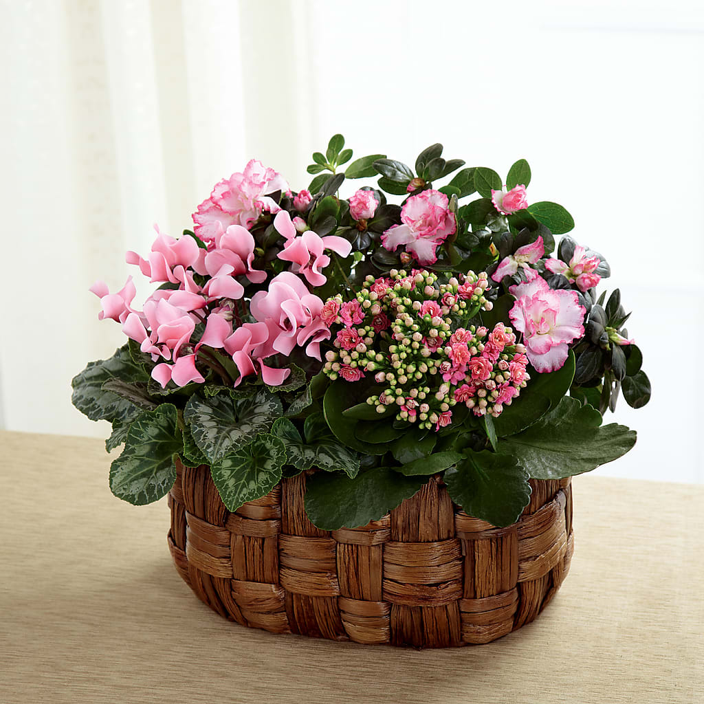 Pink Assortment – Buds N Bows, North Little Rock AR