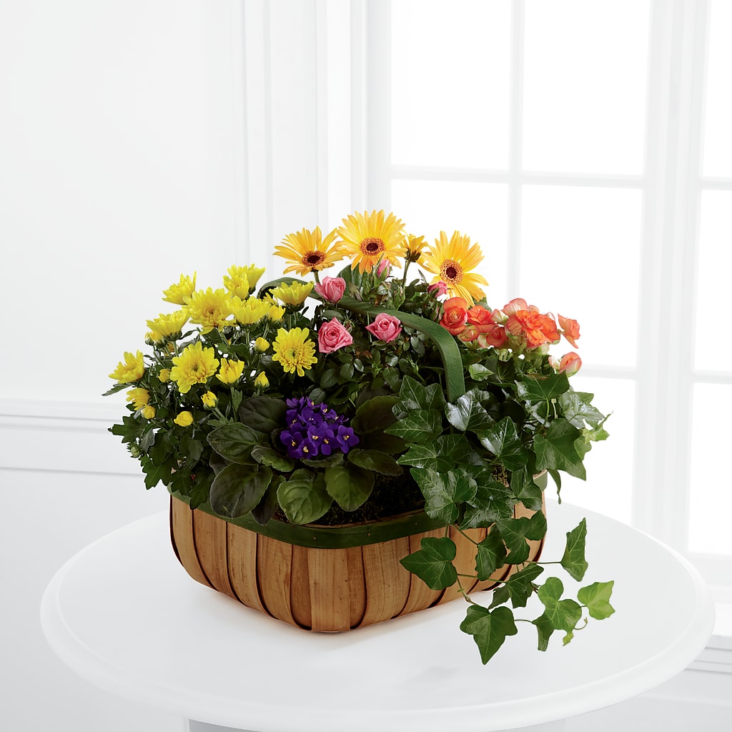 Gentle Blossoms Basket – Buds N Bows, North Little Rock AR