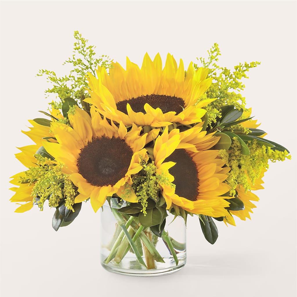 Beaming Sunflower Bouquet – Buds N Bows, North Little Rock AR