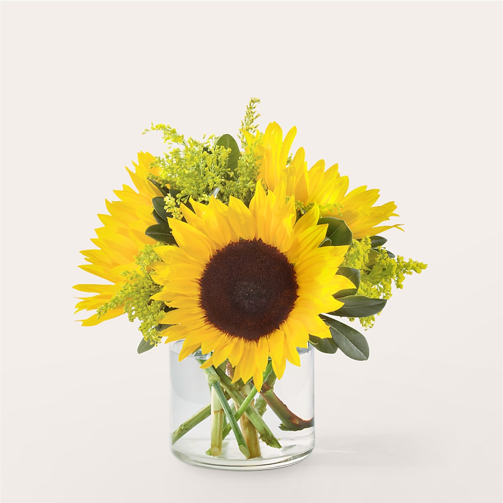Beaming Sunflower Bouquet – Buds N Bows, North Little Rock AR