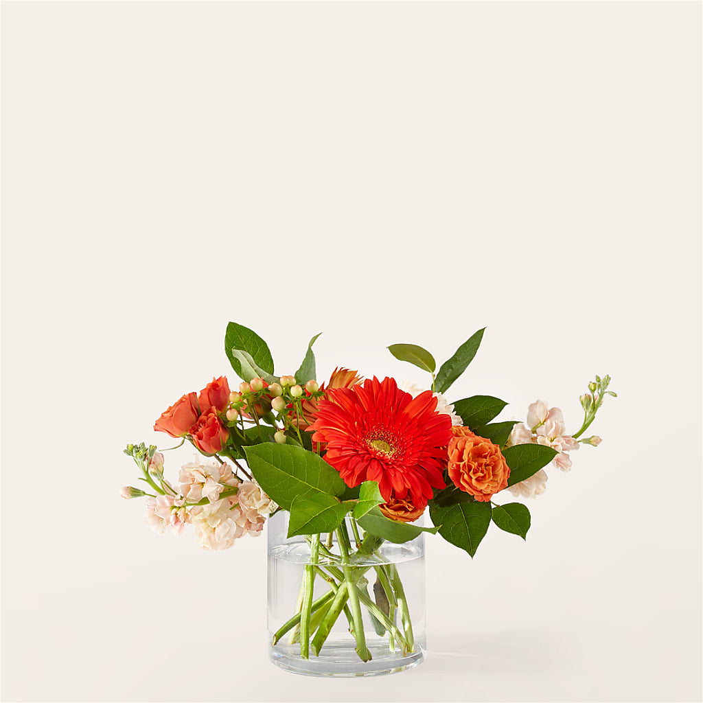 Paloma Please Bouquet – Buds N Bows, North Little Rock AR