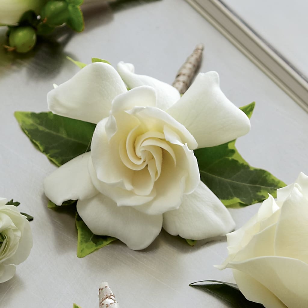 Gardenia Boutonniere – Buds N Bows, North Little Rock AR