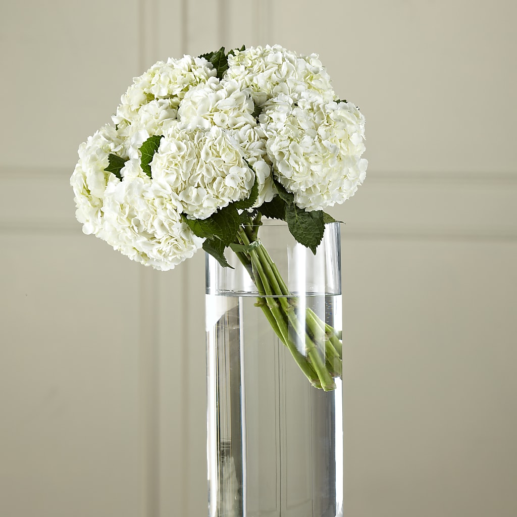 White Hydrangea Hand-Tied Bouquet – Buds N Bows, North Little Rock AR