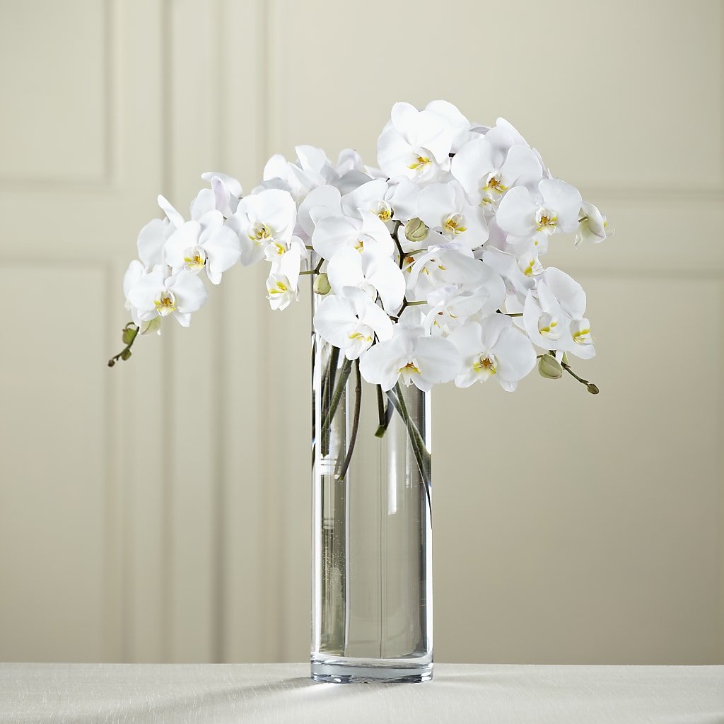 White Phalaenopsis Bouquet – Buds N Bows, North Little Rock AR