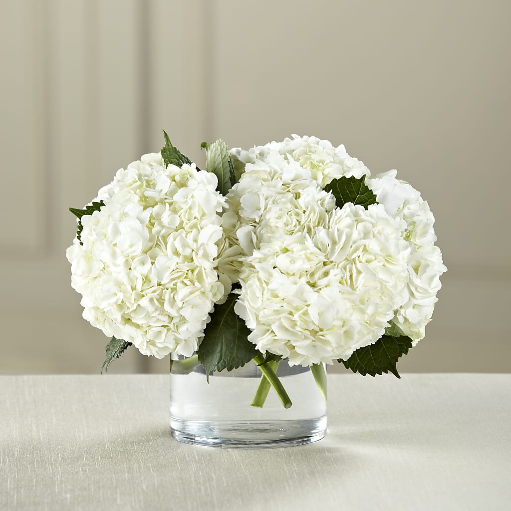 White Hydrangea Bouquet – Buds N Bows, North Little Rock AR