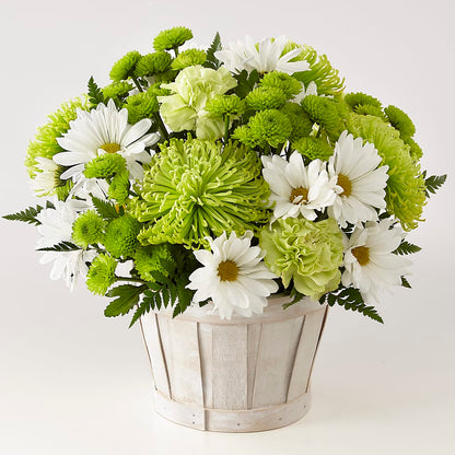 Lucky Charm Basket (Standard) –  Buds N Bows, North Little Rock AR