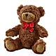 Adorable Plush Bear –  Buds N Bows, North Little Rock AR