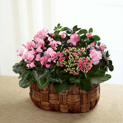 Pink Assortment –  Buds N Bows, North Little Rock AR