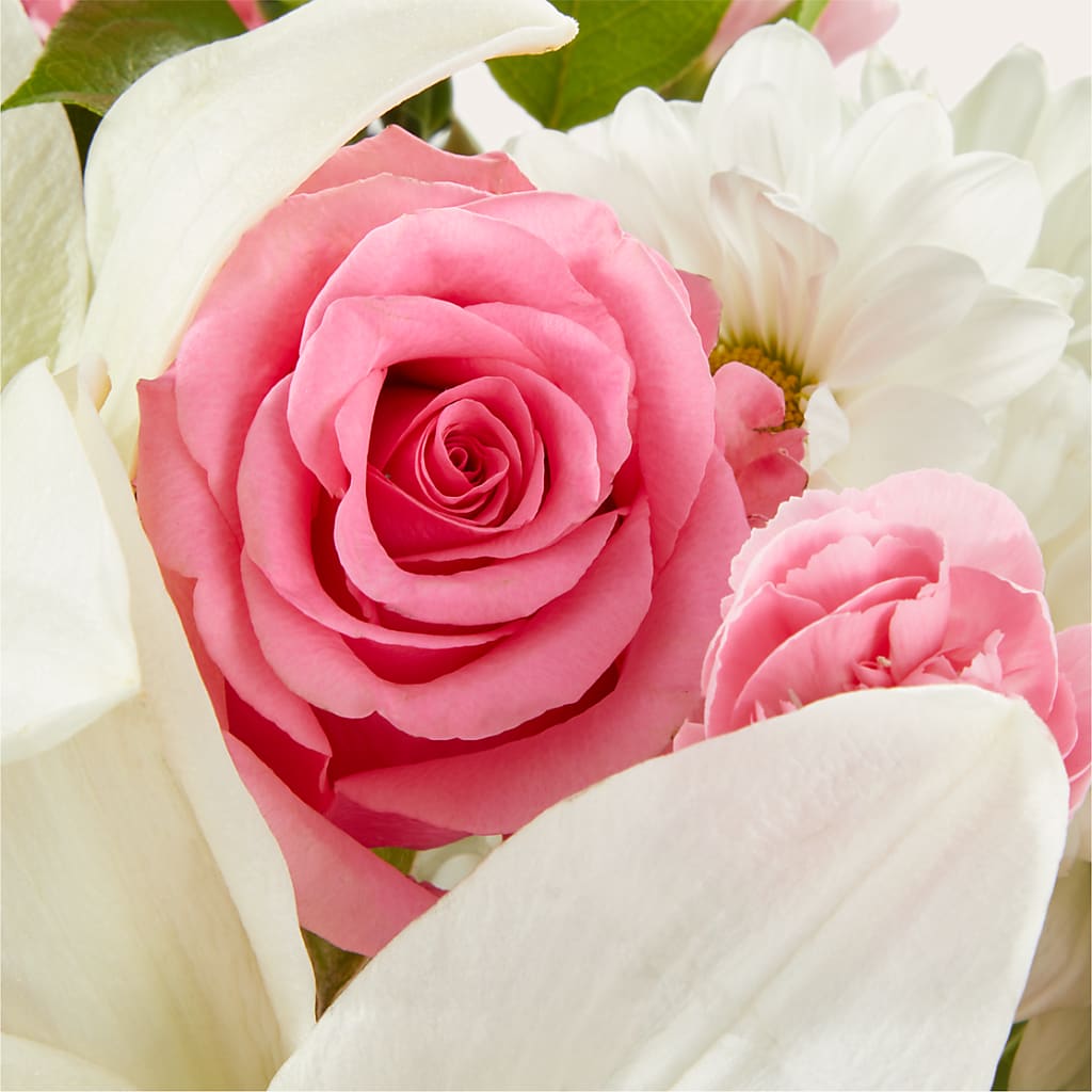 Whispers of Comfort Bouquet –  Buds N Bows, North Little Rock AR