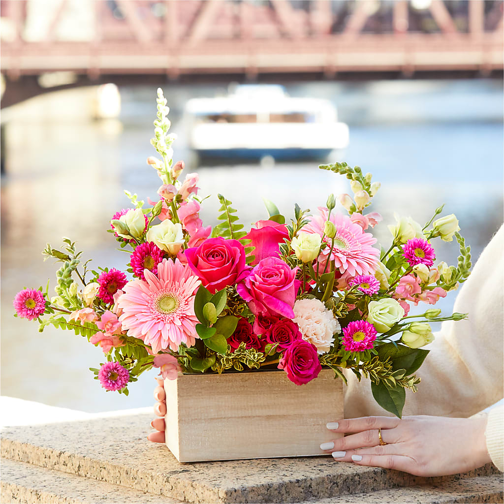 Too Cute Bouquet –  Buds N Bows, North Little Rock AR