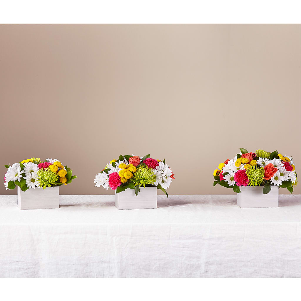Sorbet Bouquet –  Buds N Bows, North Little Rock AR