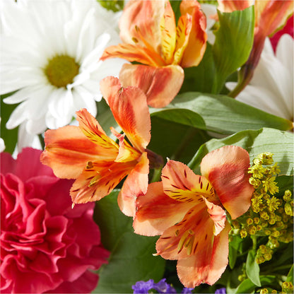 Oopsie Daisy Box Bouquet –  Buds N Bows, North Little Rock AR
