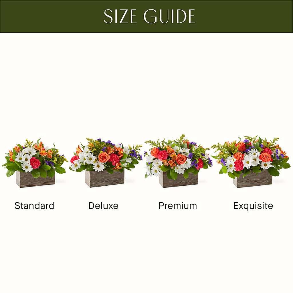 Oopsie Daisy Box Bouquet –  Buds N Bows, North Little Rock AR