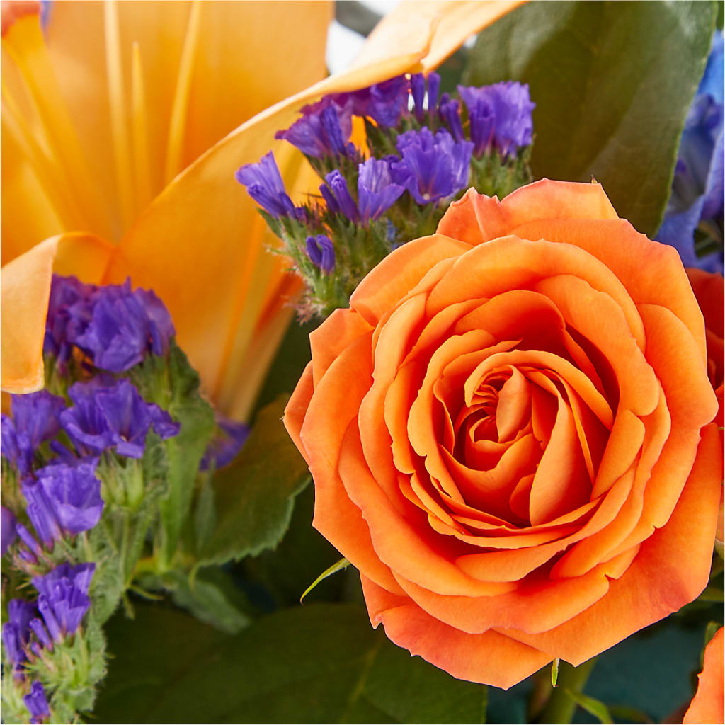 Radiant Citrus Box Bouquet –  Buds N Bows, North Little Rock AR