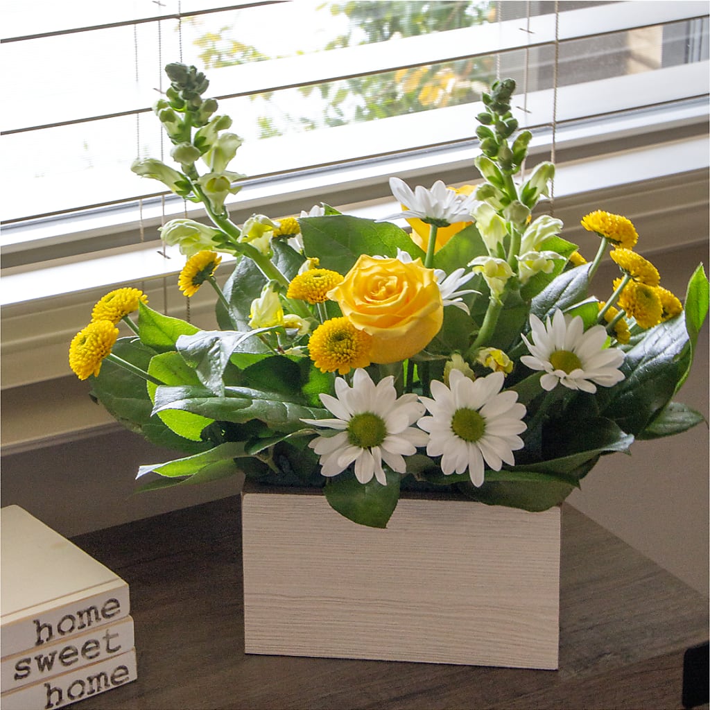 Sun Salutation Box Bouquet –  Buds N Bows, North Little Rock AR