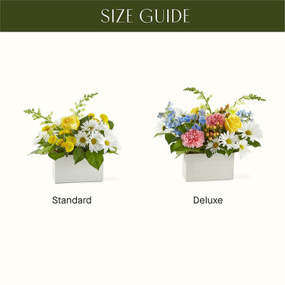 Sun Salutation Box Bouquet –  Buds N Bows, North Little Rock AR