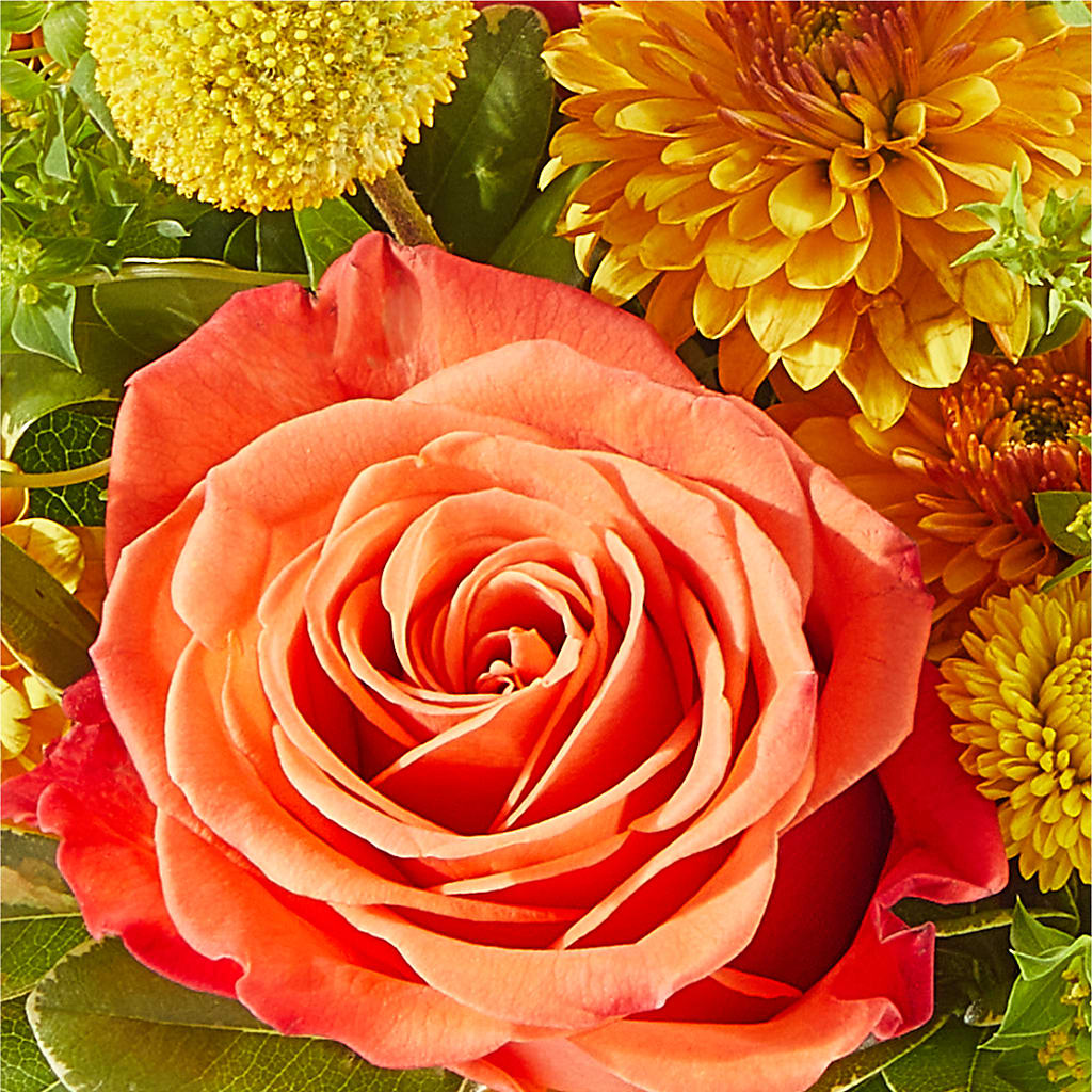 Gourdgeous Pumpkin –  Buds N Bows, North Little Rock AR