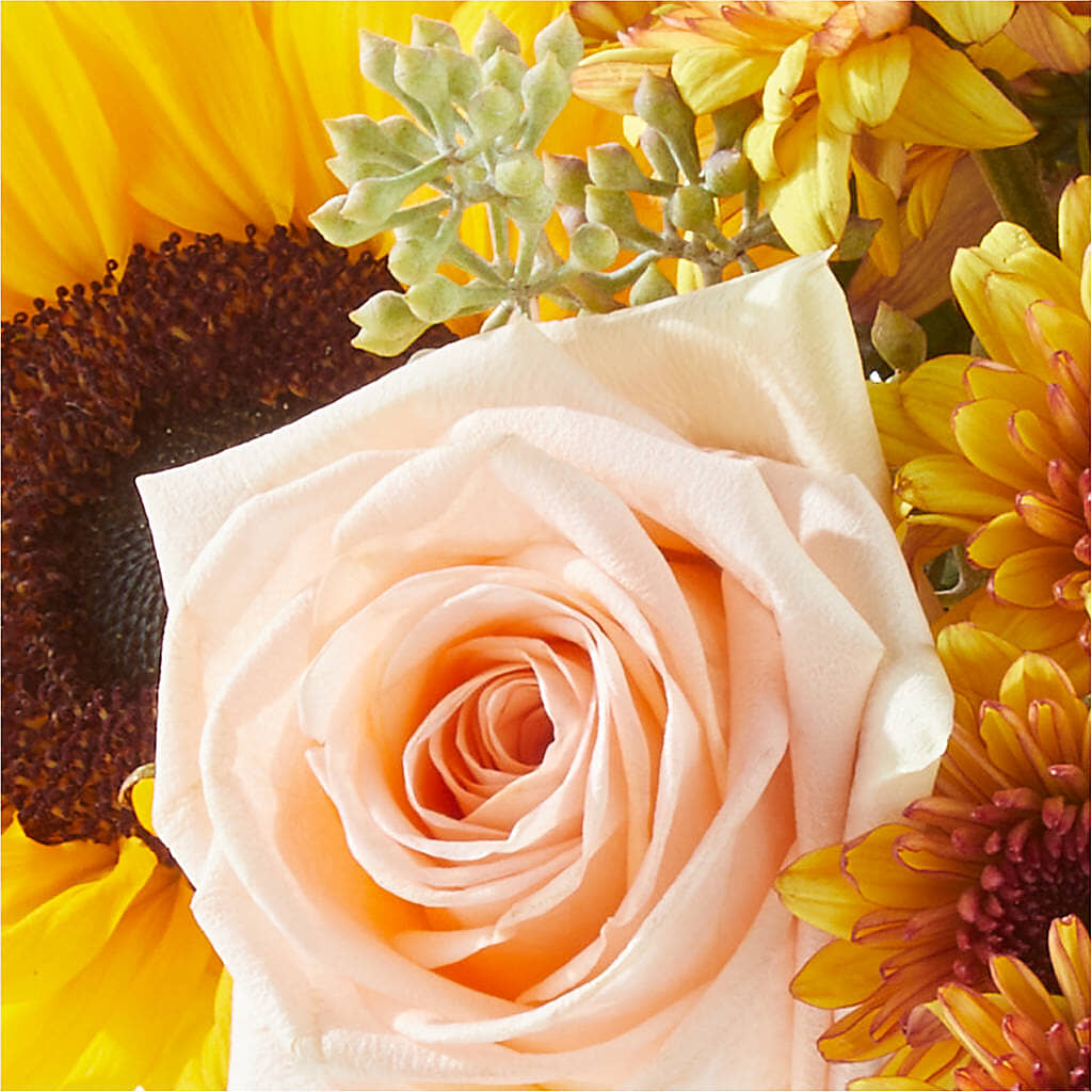 Pumpkin to Talk About Bouquet –  Buds N Bows, North Little Rock AR