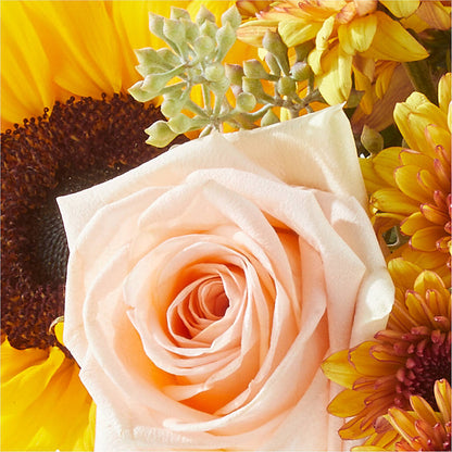 Pumpkin to Talk About Bouquet –  Buds N Bows, North Little Rock AR