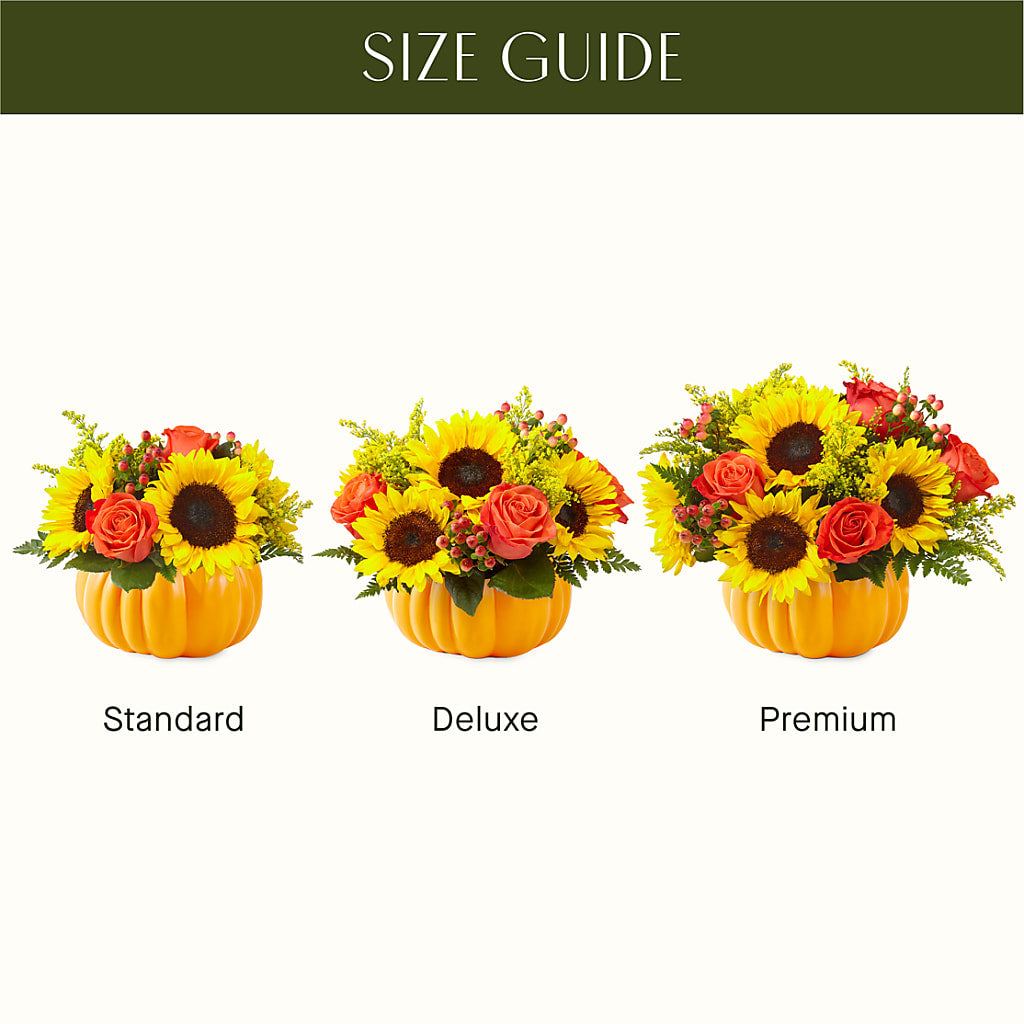 Pick of the Patch Pumpkin Bouquet –  Buds N Bows, North Little Rock AR