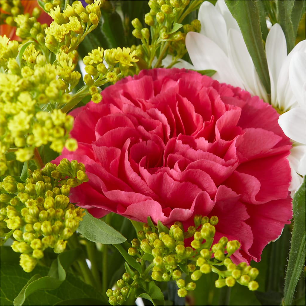 Oopsie Daisy Bouquet –  Buds N Bows, North Little Rock AR