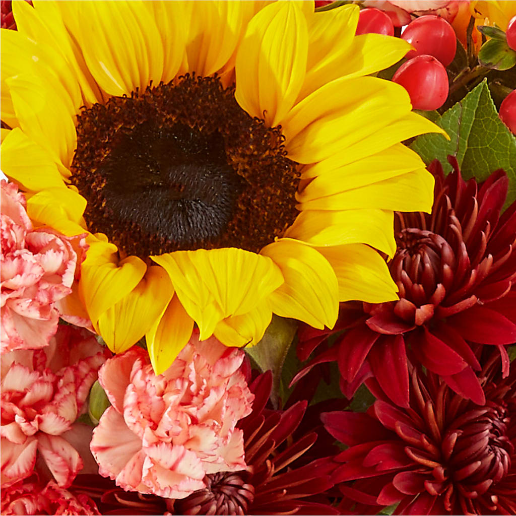 Fresh Cider Bouquet –  Buds N Bows, North Little Rock AR