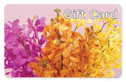 Gift Card –  Buds N Bows, North Little Rock AR