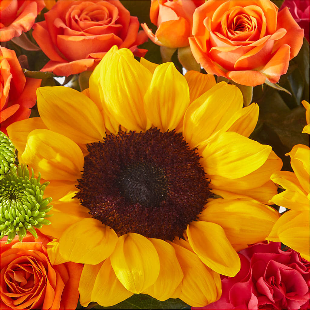 Sun-drenched Blooms Box Bouquet –  Buds N Bows, North Little Rock AR