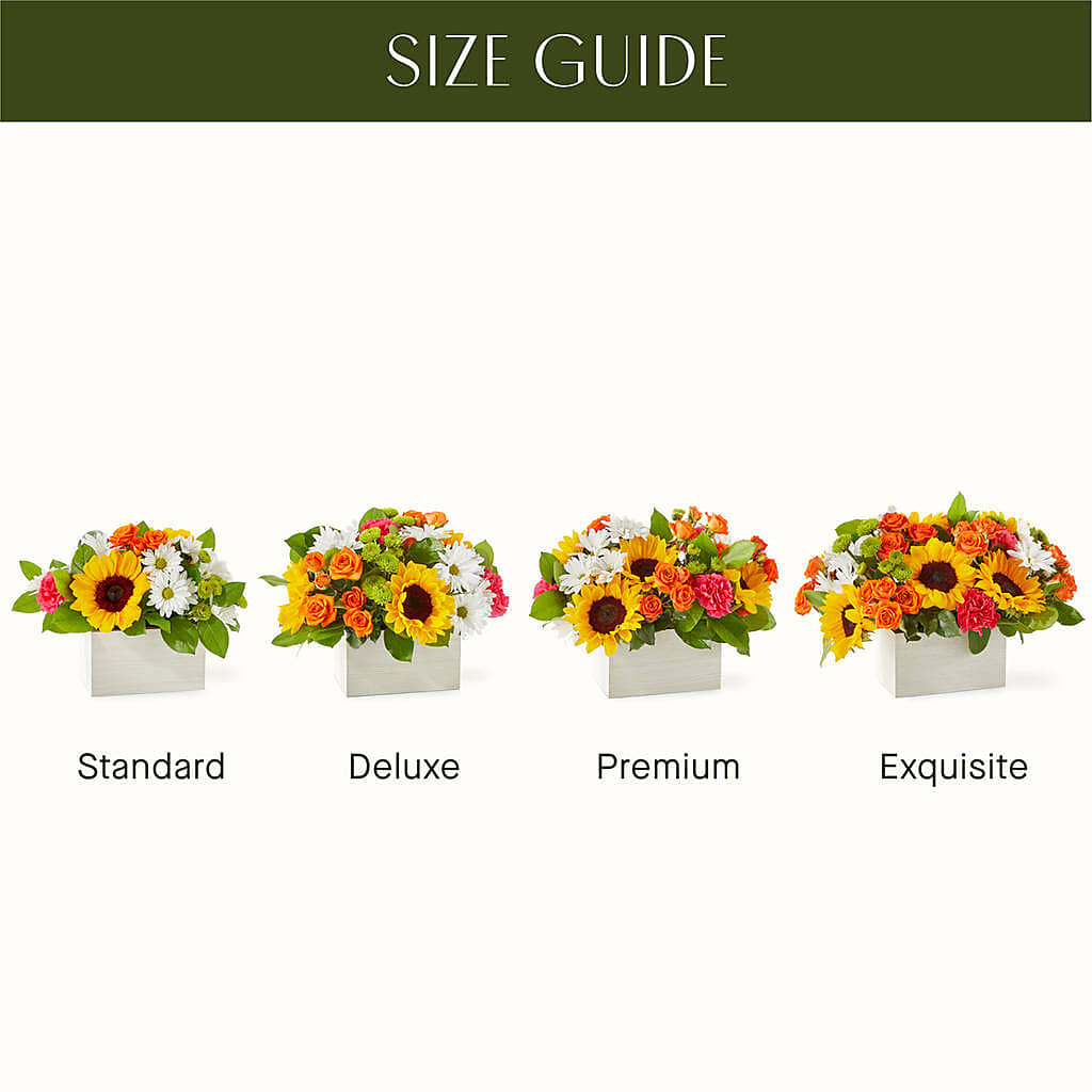 Sun-drenched Blooms Box Bouquet –  Buds N Bows, North Little Rock AR