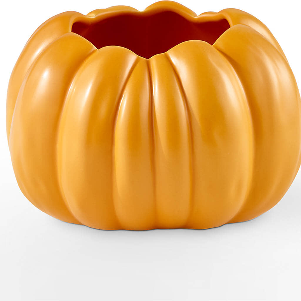 Pick of the Patch Pumpkin Bouquet –  Buds N Bows, North Little Rock AR