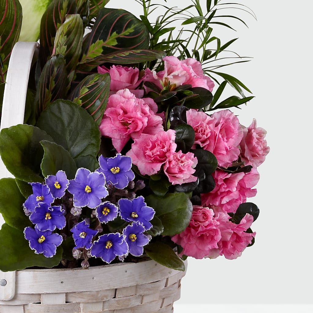 Peaceful Garden Planter –  Buds N Bows, North Little Rock AR