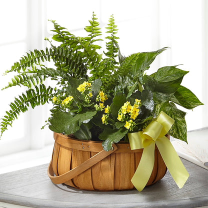 Always Dear Dishgarden –  Buds N Bows, North Little Rock AR