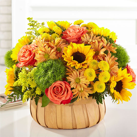 Harvest Sunflower Basket –  Buds N Bows, North Little Rock AR