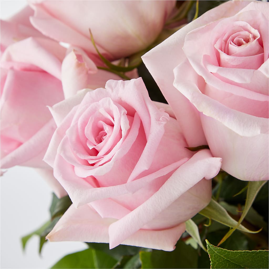 Picture Perfect Pink Rose Bouquet –  Buds N Bows, North Little Rock AR
