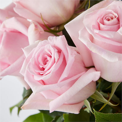 Picture Perfect Pink Rose Bouquet –  Buds N Bows, North Little Rock AR