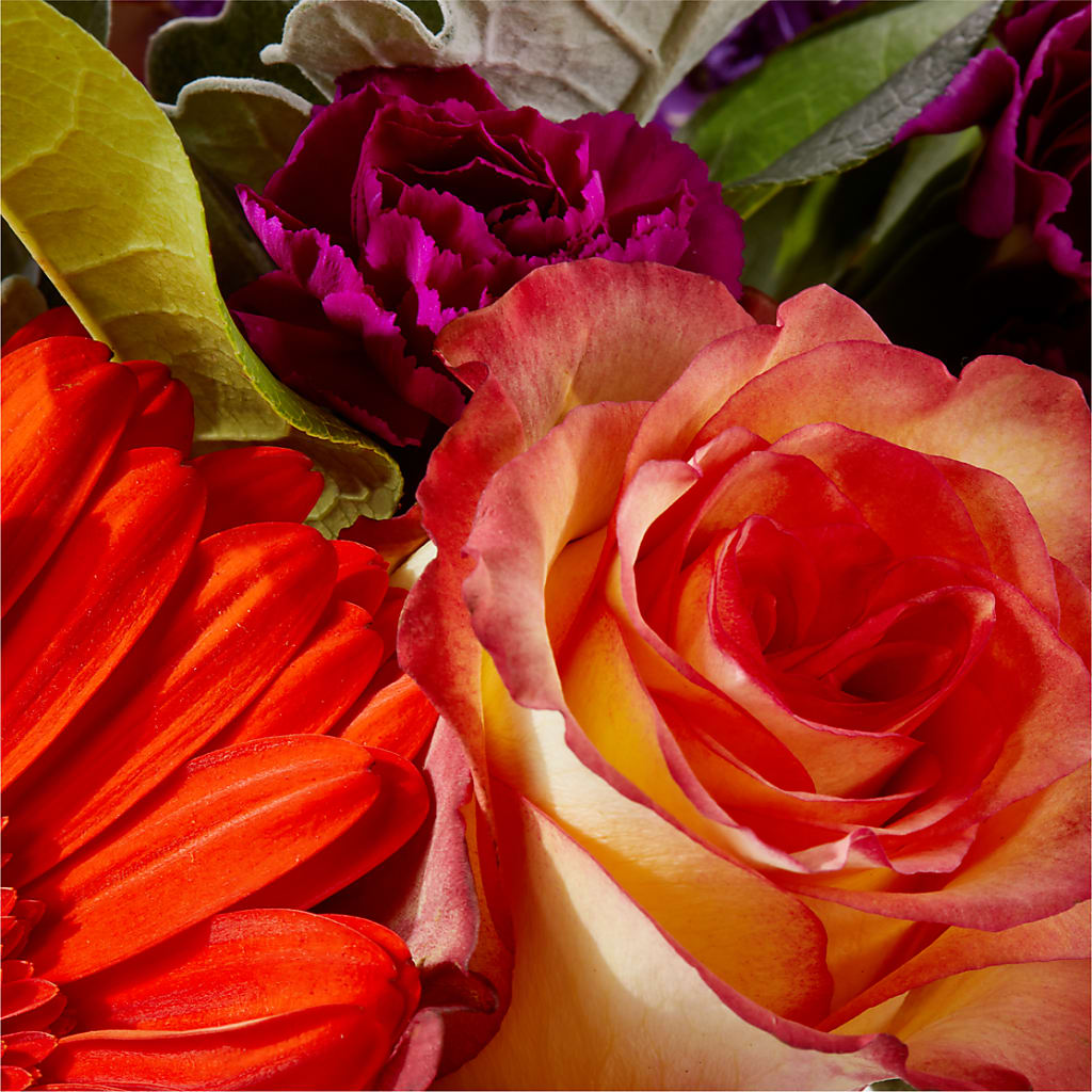 Sangria Bouquet –  Buds N Bows, North Little Rock AR