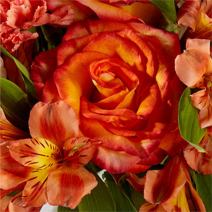 Apricot Glow Bouquet –  Buds N Bows, North Little Rock AR