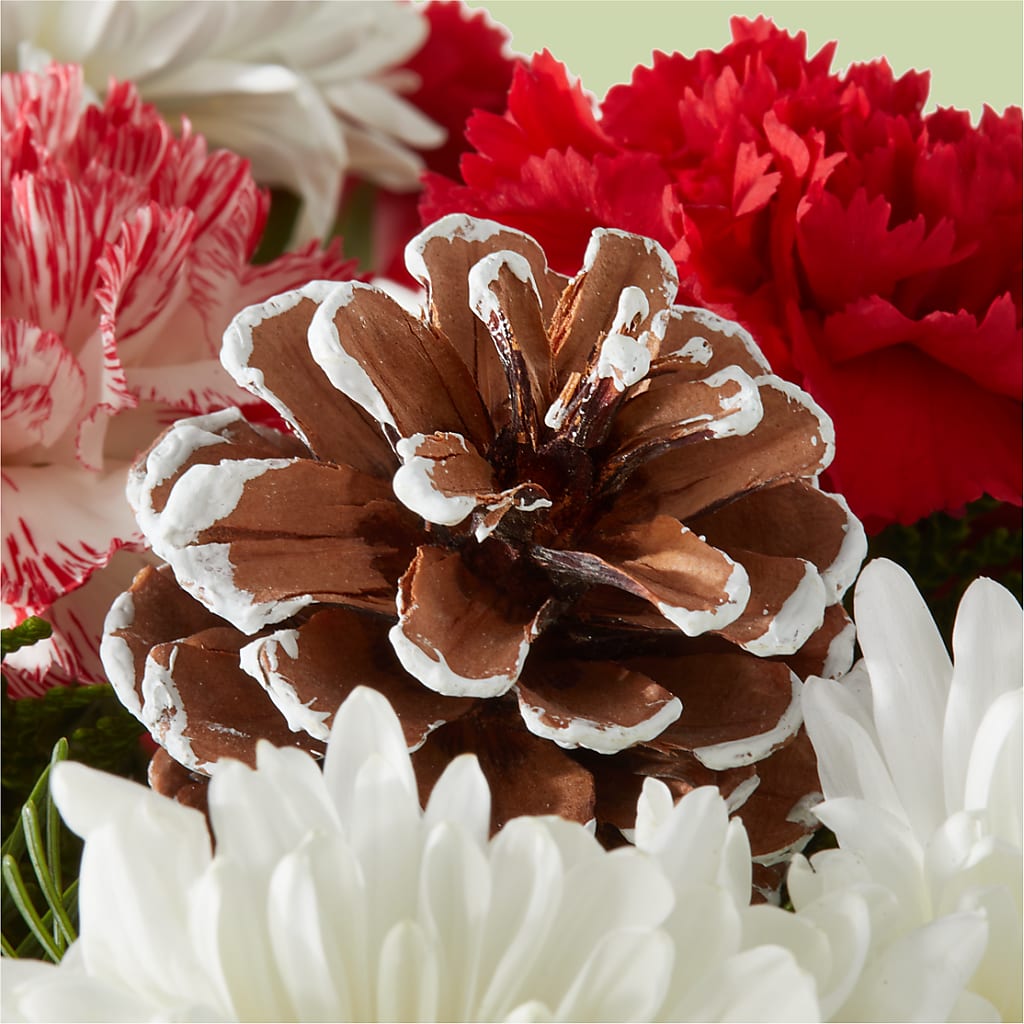 Candy Cane Lane Bouquet –  Buds N Bows, North Little Rock AR