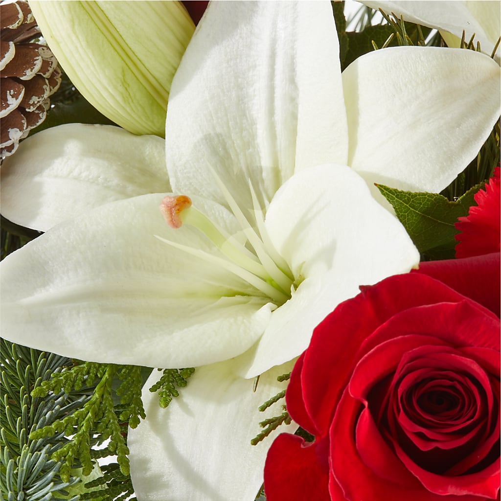 Oh So Jolly Bouquet –  Buds N Bows, North Little Rock AR