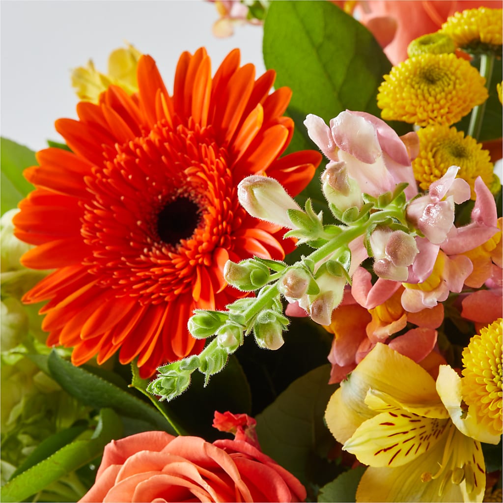 Autumn Sunshine Bouquet –  Buds N Bows, North Little Rock AR