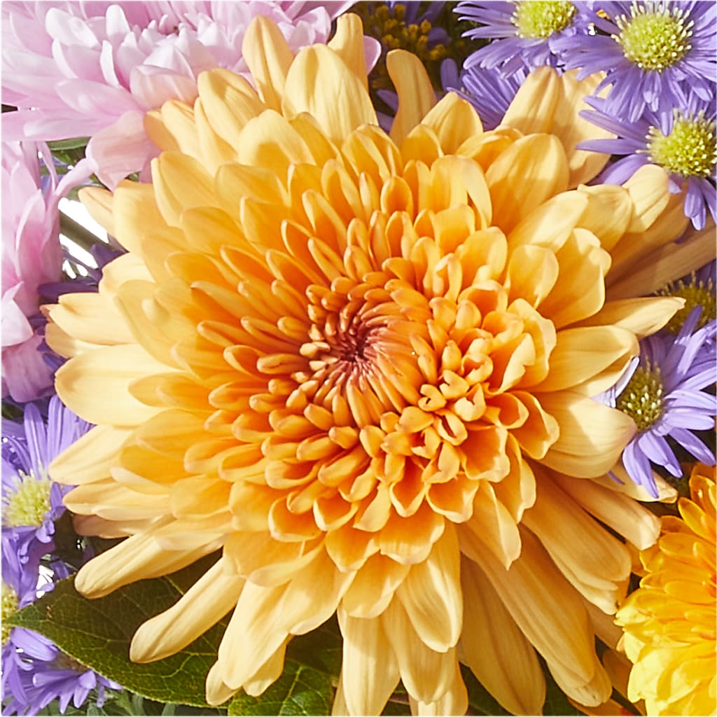 Countryside Bouquet –  Buds N Bows, North Little Rock AR