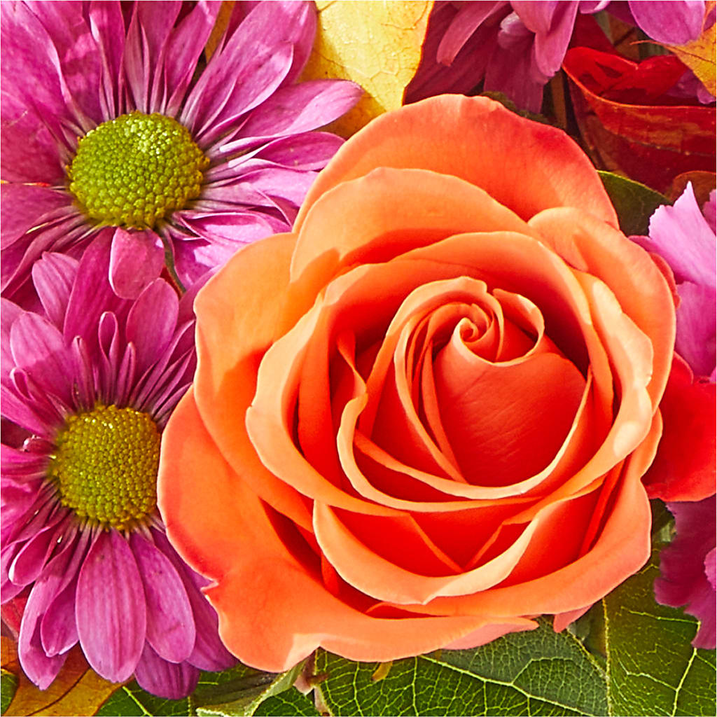 Mum's the Word Bouquet –  Buds N Bows, North Little Rock AR