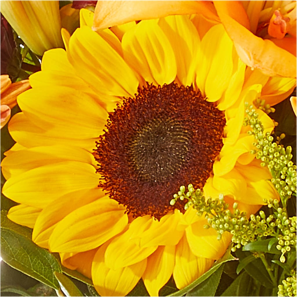 Seasons Change Bouquet –  Buds N Bows, North Little Rock AR