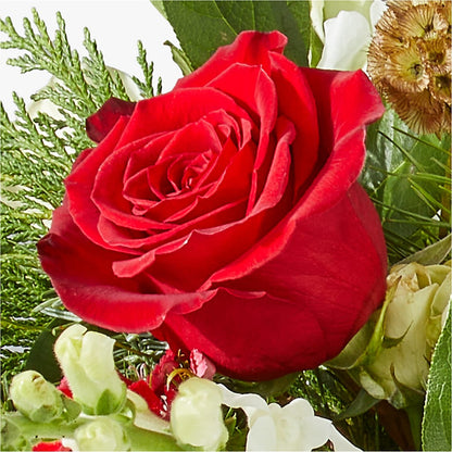 Deck the Halls Bouquet –  Buds N Bows, North Little Rock AR