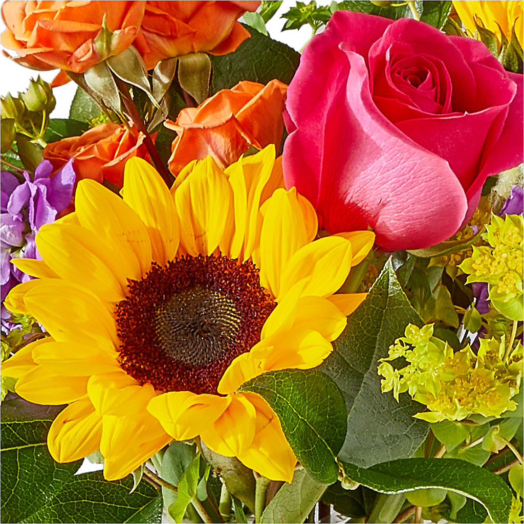 Vibrant Greetings Bouquet –  Buds N Bows, North Little Rock AR