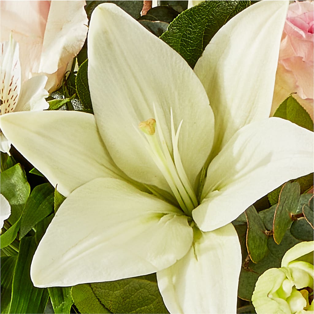 Ballet Slippers Bouquet –  Buds N Bows, North Little Rock AR