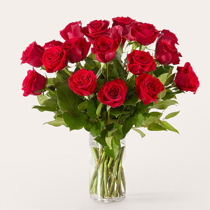 The One Red Rose Bouquet –  Buds N Bows, North Little Rock AR